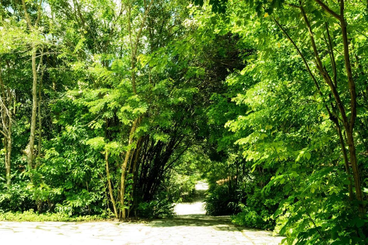 Pousada Villa Das Pedras Pirenopolis Bagian luar foto